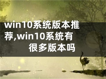 win10系统版本推荐,win10系统有很多版本吗