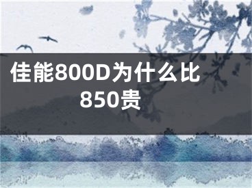 佳能800D为什么比850贵