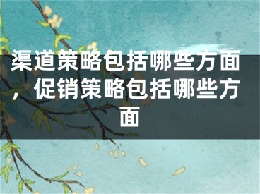 渠道策略包括哪些方面，促销策略包括哪些方面