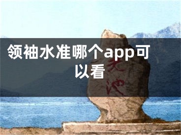 领袖水准哪个app可以看