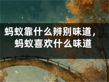 蚂蚁靠什么辨别味道，蚂蚁喜欢什么味道