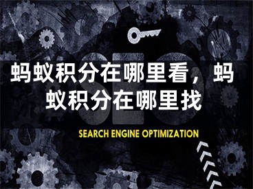 蚂蚁积分在哪里看，蚂蚁积分在哪里找