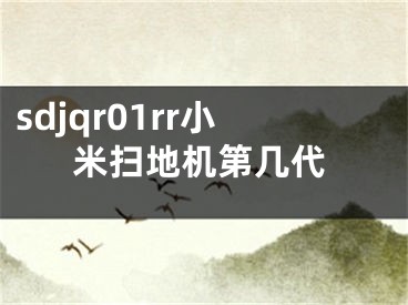 sdjqr01rr小米扫地机第几代