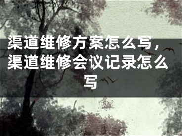 渠道维修方案怎么写，渠道维修会议记录怎么写 