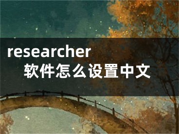 researcher软件怎么设置中文