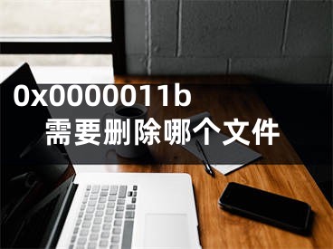 0x0000011b需要删除哪个文件