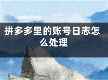 拼多多里的账号日志怎么处理