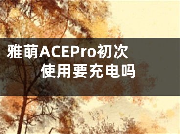 雅萌ACEPro初次使用要充电吗