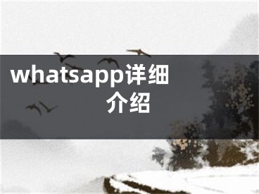 whatsapp详细介绍