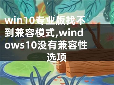 win10专业版找不到兼容模式,windows10没有兼容性选项