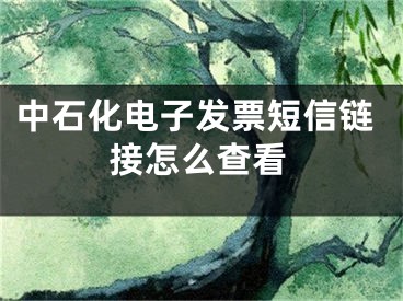 中石化电子发票短信链接怎么查看