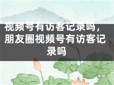 视频号有访客记录吗，朋友圈视频号有访客记录吗