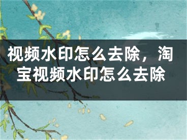 视频水印怎么去除，淘宝视频水印怎么去除 