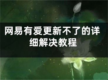 网易有爱更新不了的详细解决教程