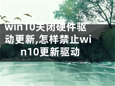 win10关闭硬件驱动更新,怎样禁止win10更新驱动