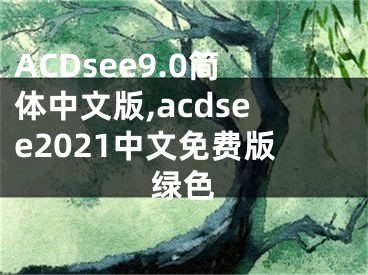 ACDsee9.0简体中文版,acdsee2021中文免费版绿色