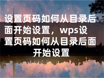 设置页码如何从目录后面开始设置，wps设置页码如何从目录后面开始设置