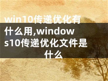 win10传递优化有什么用,windows10传递优化文件是什么