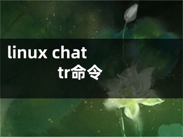 linux chattr命令
