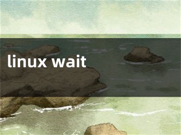 linux wait 