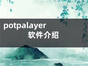 potpalayer软件介绍 