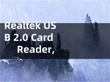 Realtek USB 2.0 Card Reader,