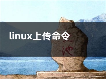 linux上传命令