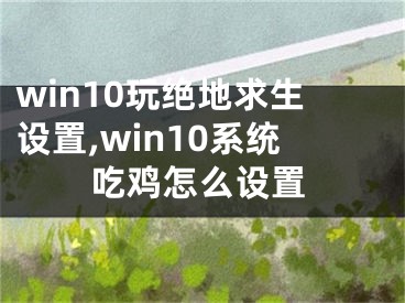 win10玩绝地求生设置,win10系统吃鸡怎么设置