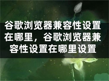 谷歌浏览器兼容性设置在哪里，谷歌浏览器兼容性设置在哪里设置