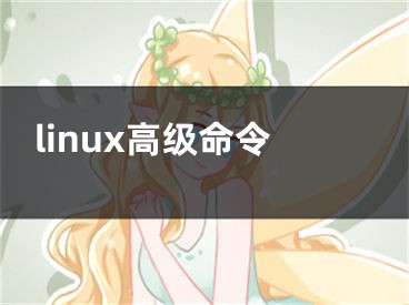 linux高级命令
