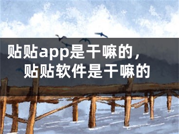 贴贴app是干嘛的，贴贴软件是干嘛的