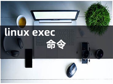 linux exec命令