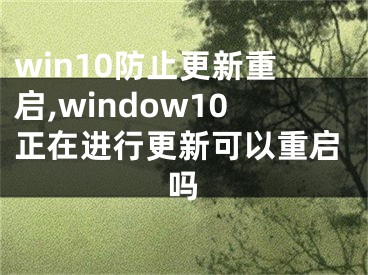 win10防止更新重启,window10正在进行更新可以重启吗