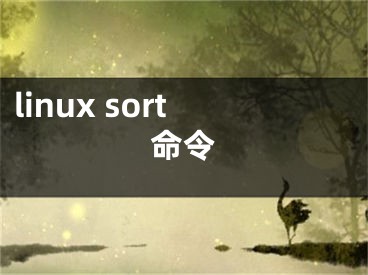 linux sort命令 