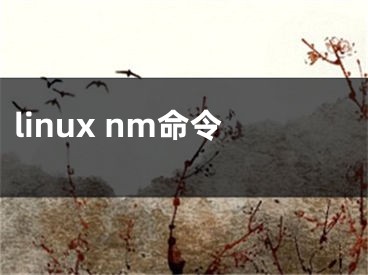 linux nm命令