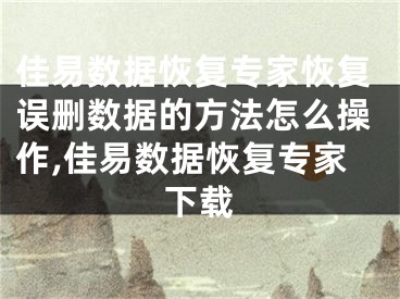 佳易数据恢复专家恢复误删数据的方法怎么操作,佳易数据恢复专家下载