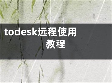 todesk远程使用教程