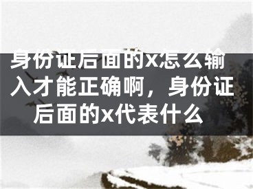 身份证后面的x怎么输入才能正确啊，身份证后面的x代表什么