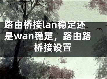 路由桥接lan稳定还是wan稳定，路由路桥接设置