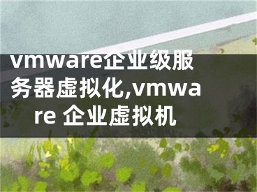 vmware企业级服务器虚拟化,vmware 企业虚拟机