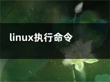 linux执行命令