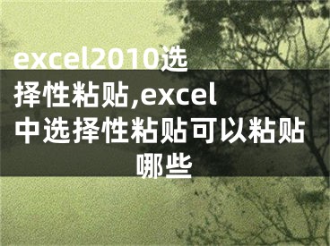 excel2010选择性粘贴,excel中选择性粘贴可以粘贴哪些