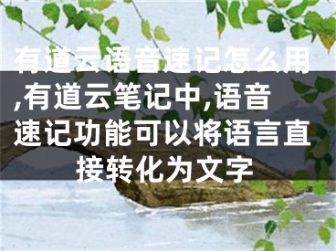 有道云语音速记怎么用,有道云笔记中,语音速记功能可以将语言直接转化为文字