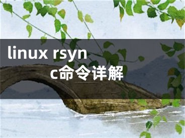 linux rsync命令详解