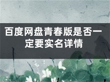 百度网盘青春版是否一定要实名详情