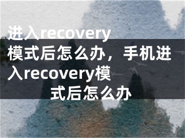进入recovery模式后怎么办，手机进入recovery模式后怎么办
