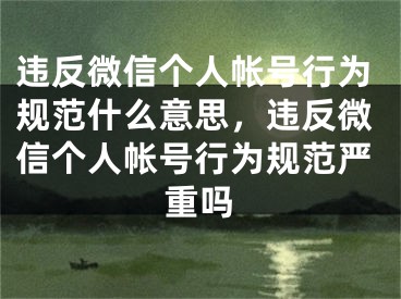 违反微信个人帐号行为规范什么意思，违反微信个人帐号行为规范严重吗