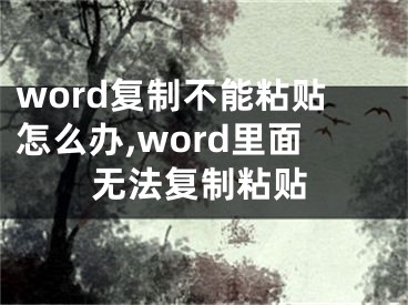 word复制不能粘贴怎么办,word里面无法复制粘贴