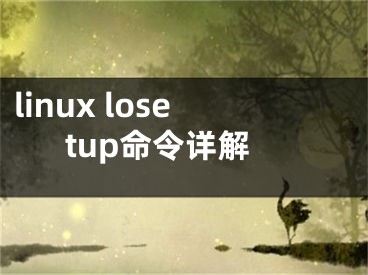 linux losetup命令详解