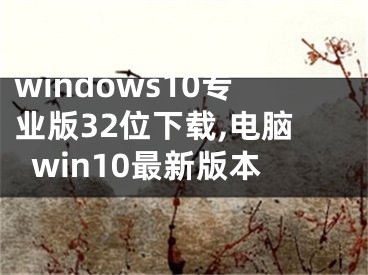 windows10专业版32位下载,电脑win10最新版本